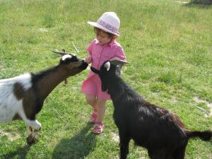 Maisons de vacances Camping Valloire-sur-Cisse : photos des chambres