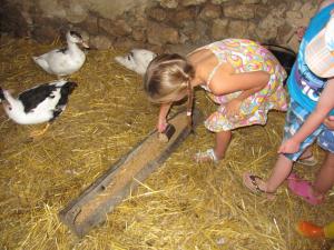 Maisons de vacances Camping Valloire-sur-Cisse : photos des chambres