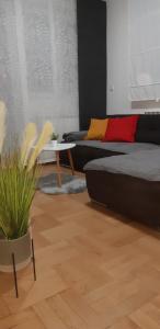 Apartment with garage Lavici