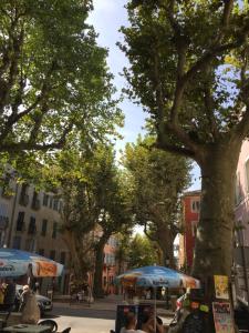 Maisons de vacances Wandern in der gunen Provence : photos des chambres