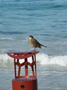 Repos et Vacances