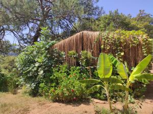 Kidrak Camping NAMASTE
