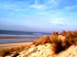 Maisons de vacances Maison piscine 4 ch Carcans Medoc Bassin Arcachon : photos des chambres