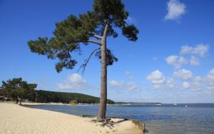 Maisons de vacances Maison piscine 4 ch Carcans Medoc Bassin Arcachon : photos des chambres