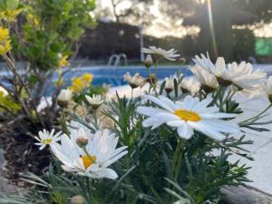 Villa Herlinda Costa Brava - With Swimming Pool