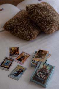 Appartements Studio Insolite Viking : photos des chambres