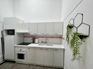 Appartements Duplex en plein coeur de Malo-Les-Bains : Appartement 1 Chambre