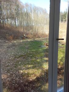 Dream appartment for a nice holiday with a bedroom and living room!