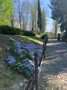 لانتيكا كورت لازاغو - غْرانداتي