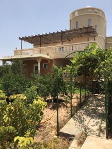 الجبل الاخضر سيق بيت الصوير bait alsweer