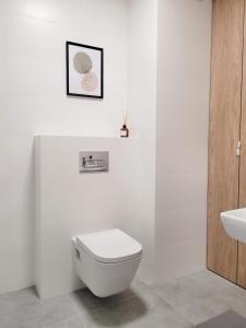 Apartament Korczaka 6