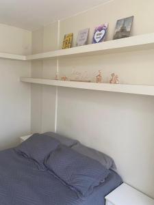 Lindo apartamento de 1 quarto no SUDOESTE 101, próximo ao centro de convenções Ulysses Guimarães, mane Garrincha e ministérios