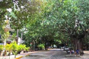 Luxury Condo between 5th Avenue and the Beach