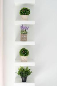 Filoxenia MG Projects city center