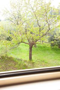 Twin Room with Garden View