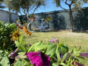 Villa Cecilia Bed and Breakfast