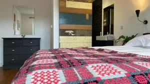 1 Woodlands - Henllan