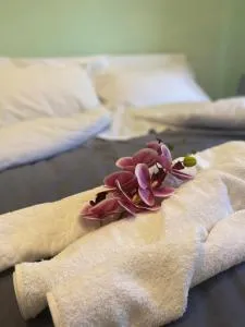 Casa A & M - Lammari