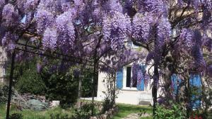 Appartement en Provence