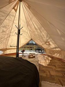 Brzozowisko Tuchomko - Glamping