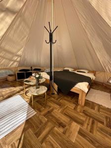 Brzozowisko Tuchomko - Glamping