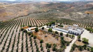 Cortijo Doñana