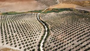 Cortijo Doñana