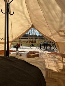 Brzozowisko Tuchomko - Glamping