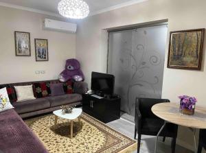 Warm apartment in the center of Tirana city