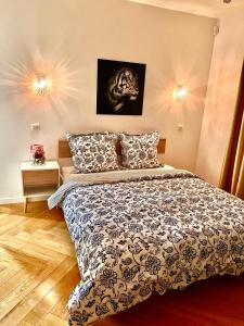 Appartements Alexandru Home : photos des chambres