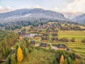 得来文斯特楚瓦酒店 - 特尔乔夫