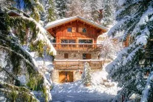 Chalet Dakota, Pied des pistes, 15 pers, La Plagne - Praconduit