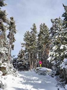 Chalets Xalet Montana : photos des chambres