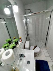 ML Saroko Apartment 2