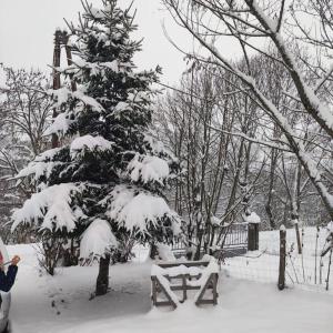 Maisons de vacances Maison de montagne au calme avec cheminee : photos des chambres