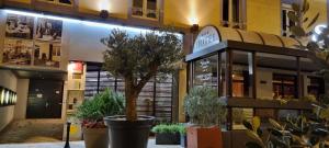 Hotels Schaeffer : photos des chambres