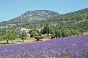 Appartements Meuble en Drome Provencale : photos des chambres