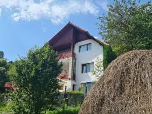 Tudor's Valea Doftanei - Trăisteni