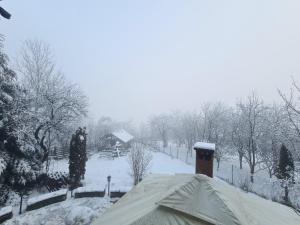 Tudors Valea Doftanei