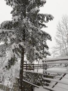 Tudors Valea Doftanei