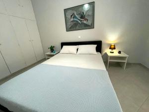 Cozy Apartment in Nea Palatia-Oropos