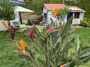 Maisons d'hotes La Wodapalousa, Surf & Crossfit Guesthouse, 800m from Beach : photos des chambres