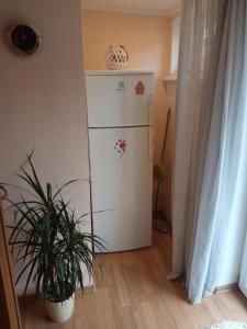 Jurmalas Centre Apartments