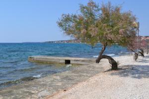 Apartment with large Seaview Terrace