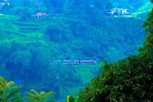 New Green View Resort - Idamegama