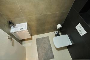 Sunlight Green - Szeged