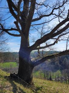 Kleines Studio mit Gartenzugang