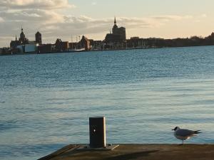 Ferienwohnung MeerBlick OG