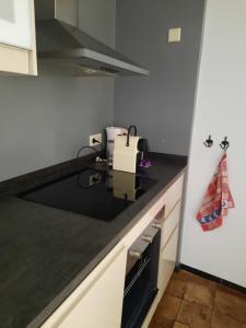 Anno 1877 appartement met tuin