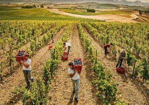 [Loft Comodo ed Elegante] • Wi-Fi e Colazione img39